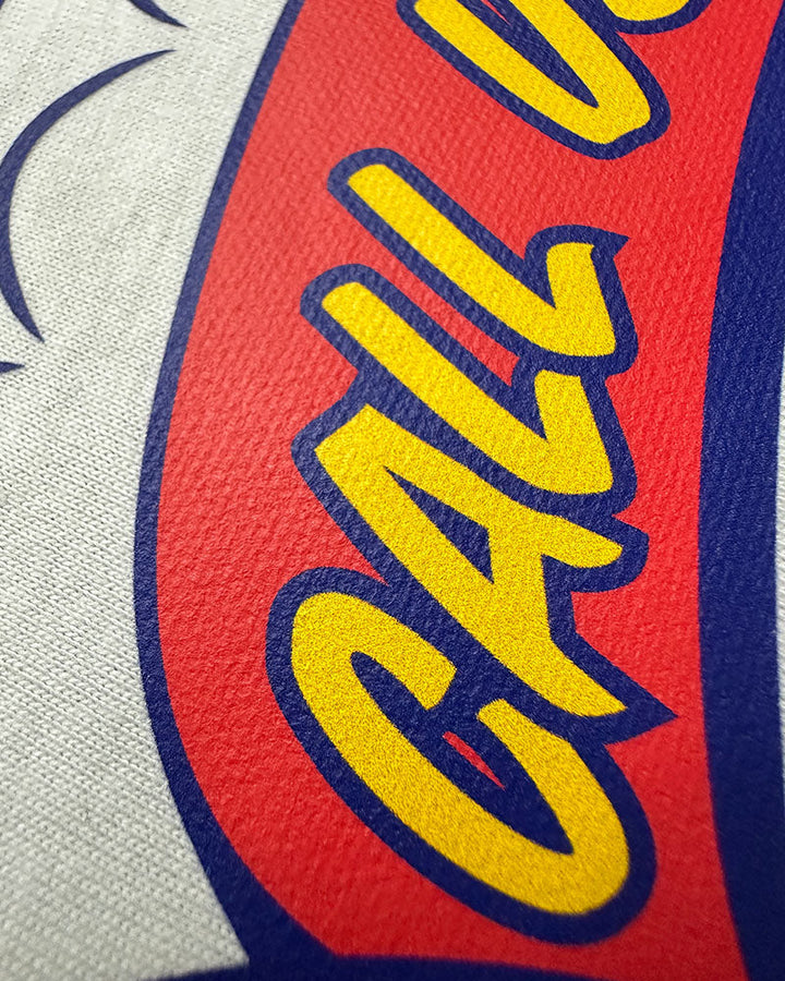 Heavy Texturizing Fiberglass Sheet